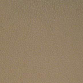 Eade’s # 029 PAPYRUS