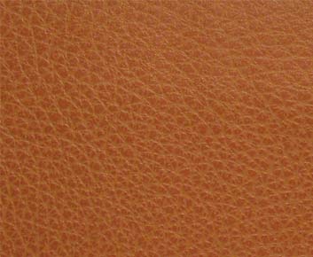 Eade’s # 009 PUMPKIN