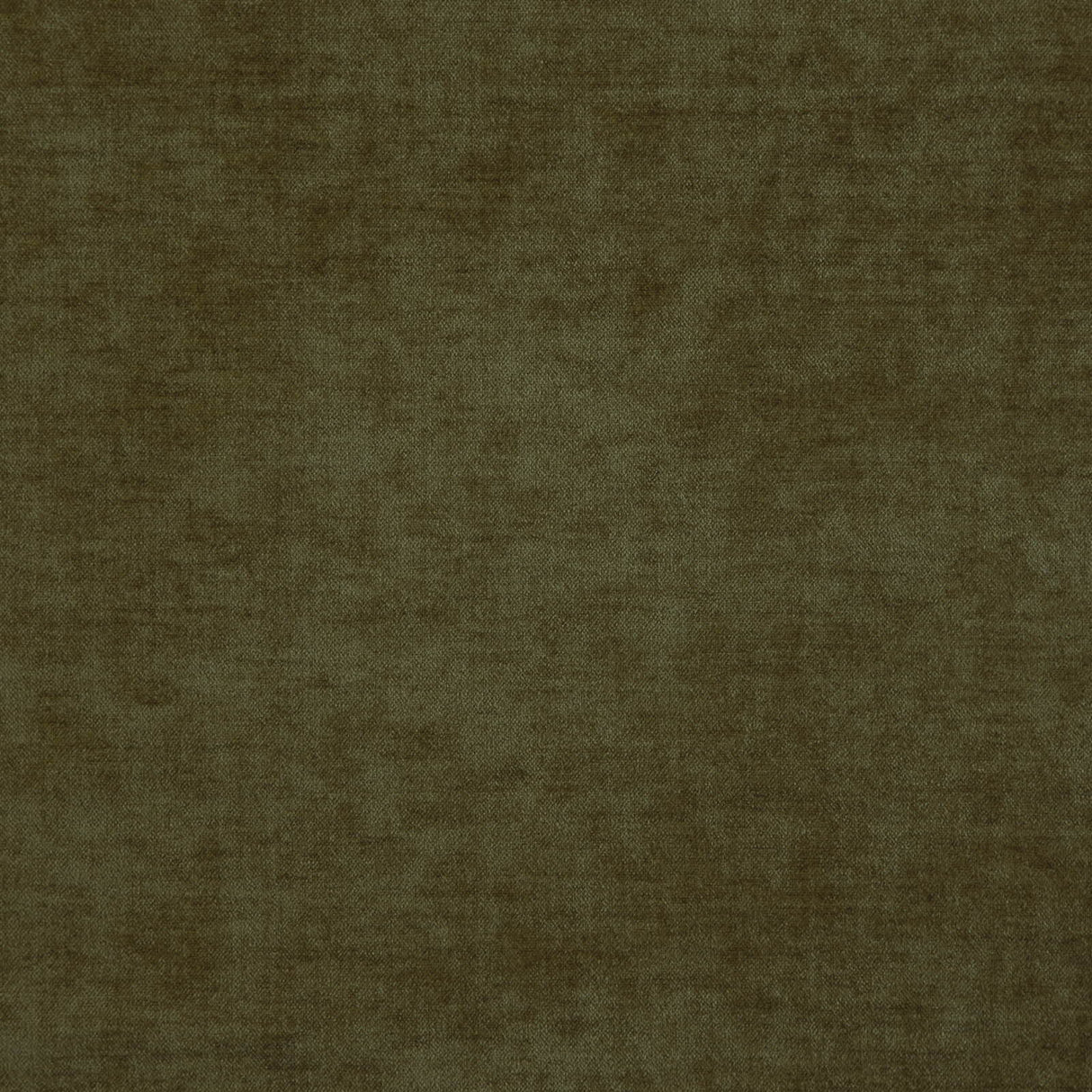 Eade’s # 1639 OLIVE