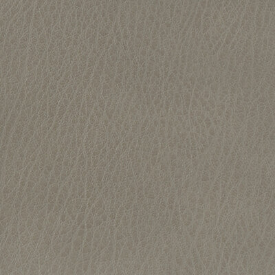 KRAVET BASICS CELINE.11.0 KRAVET BASICS CELINE-11 Fabric - Eade's Wallpaper