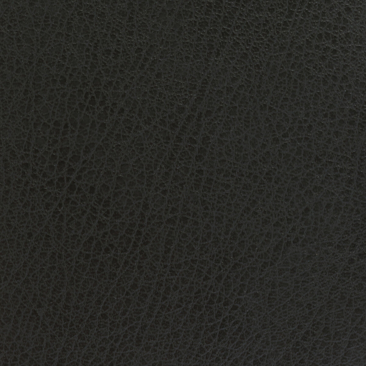 KRAVET BASICS CELINE.21.0 KRAVET BASICS CELINE-21 Fabric - Eade's Wallpaper