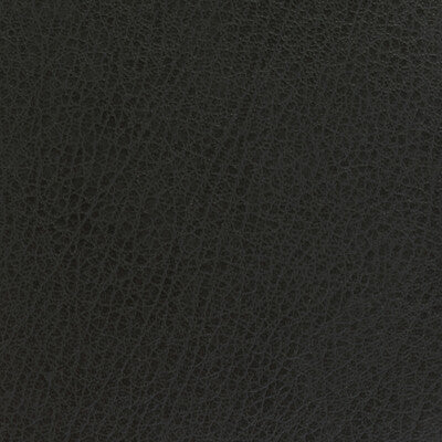 KRAVET BASICS CELINE.21.0 KRAVET BASICS CELINE-21 Fabric - Eade's Wallpaper