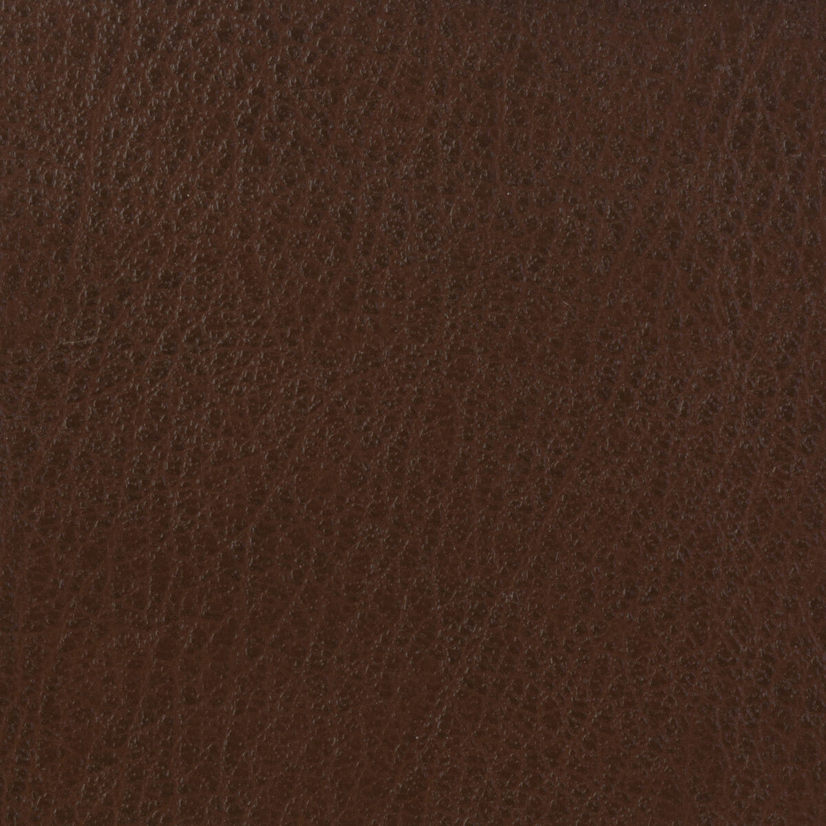 KRAVET BASICS CELINE.616.0 KRAVET BASICS CELINE-616 Fabric - Eade's Wallpaper