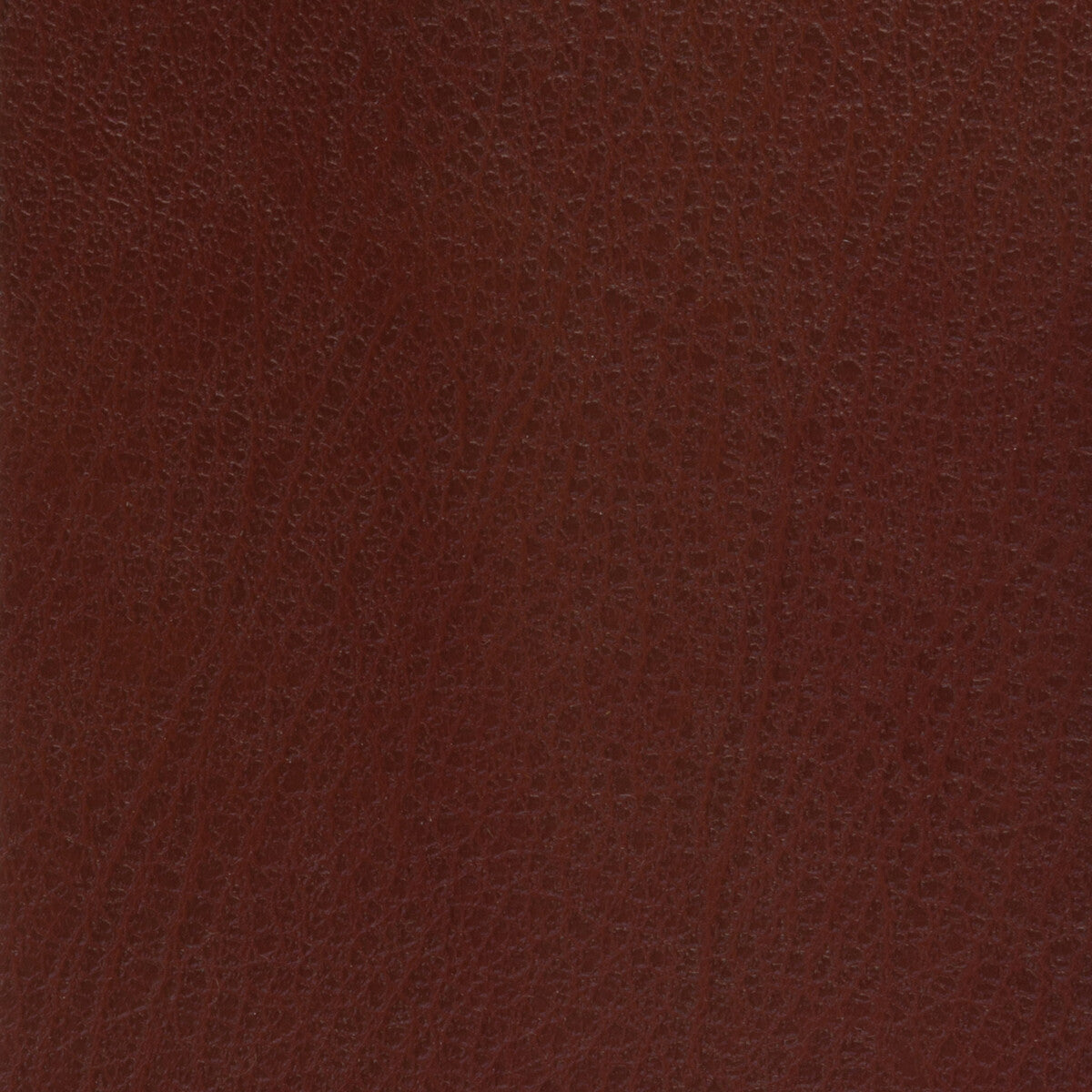 KRAVET BASICS CELINE.9.0 KRAVET BASICS CELINE-9 Fabric - Eade's Wallpaper