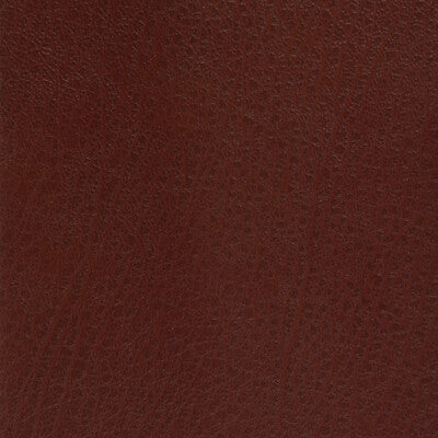 KRAVET BASICS CELINE.9.0 KRAVET BASICS CELINE-9 Fabric - Eade's Wallpaper