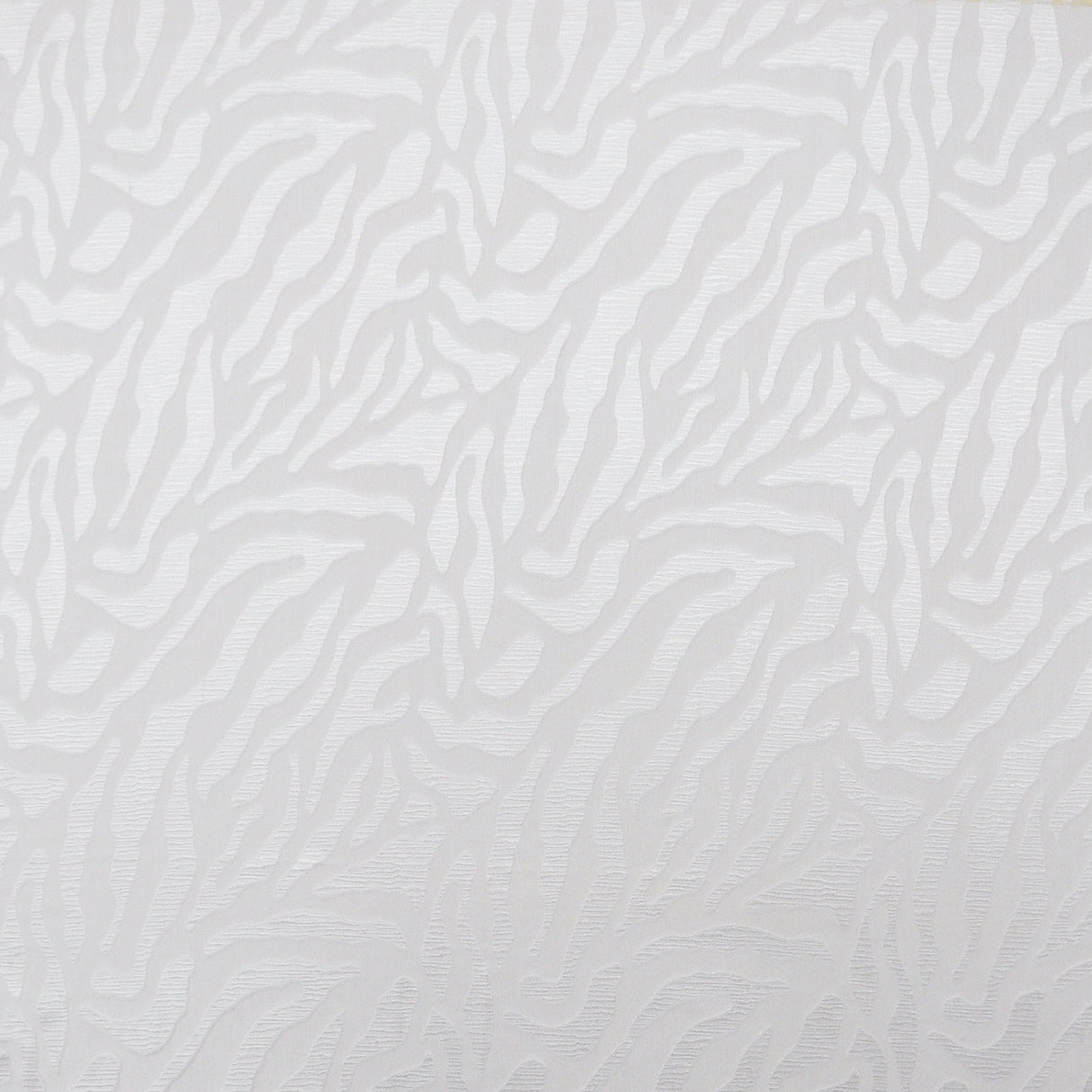 Eade’s # 21 SIBERIAN