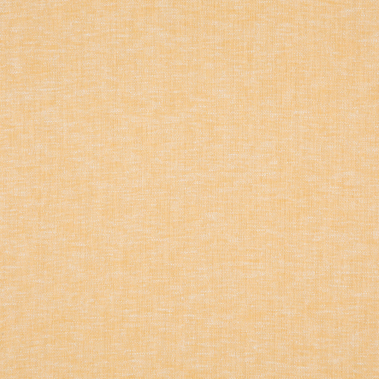 Eade’s # 23 MIMOSA