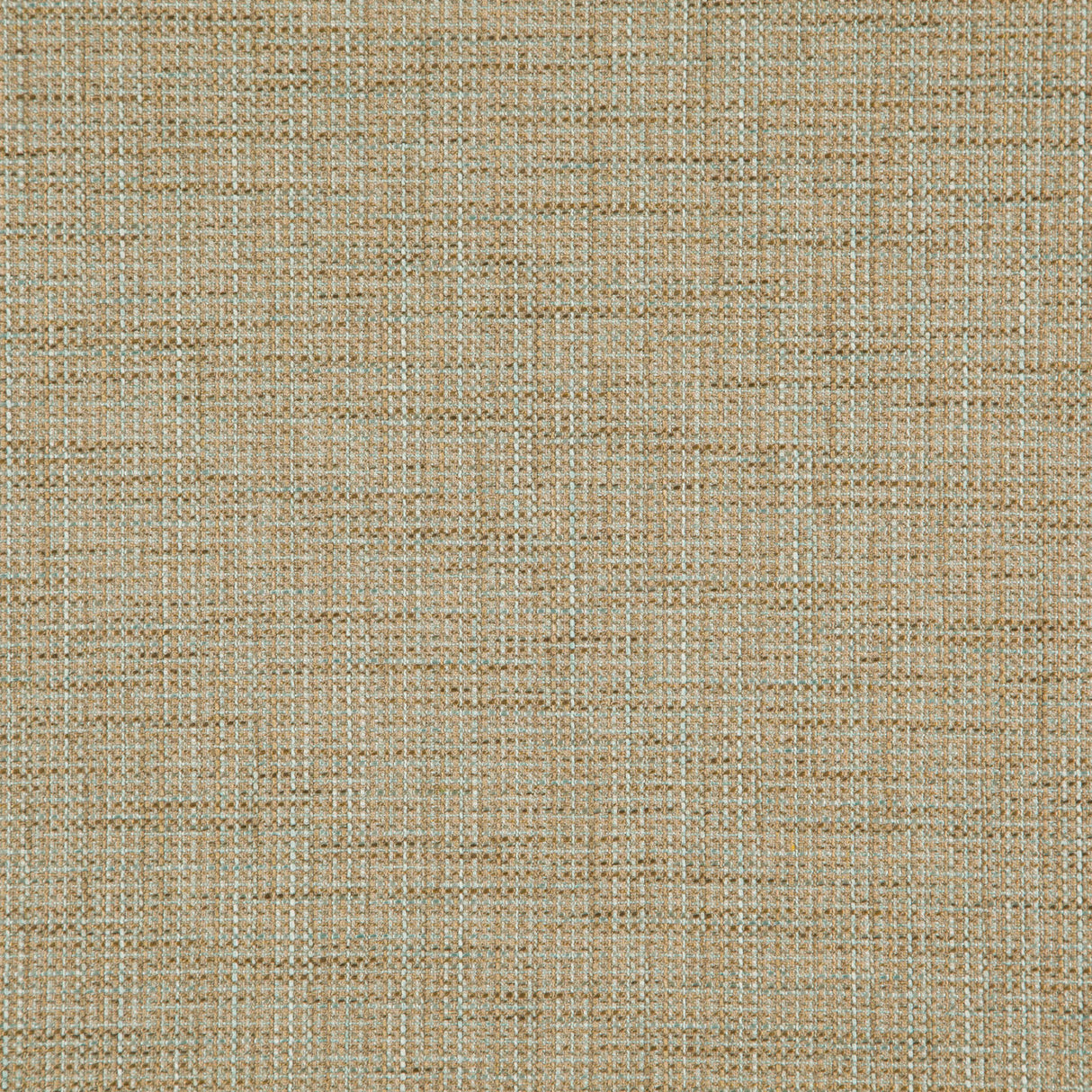 Eade’s # 510 LICHEN