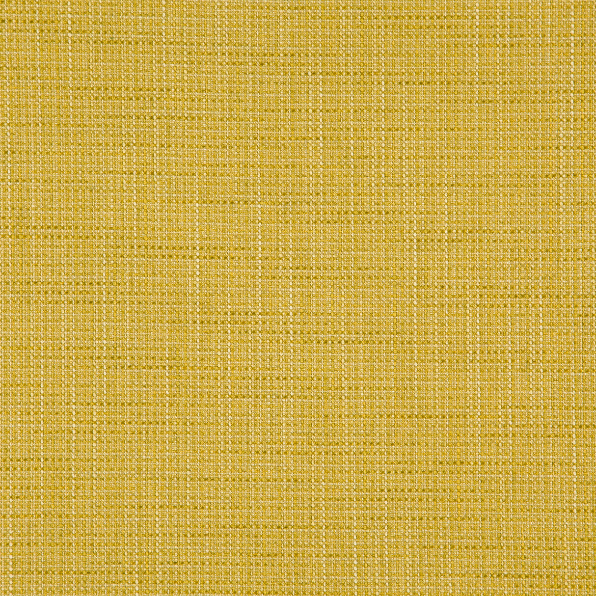 Eade’s # 523 CHARTREUSE