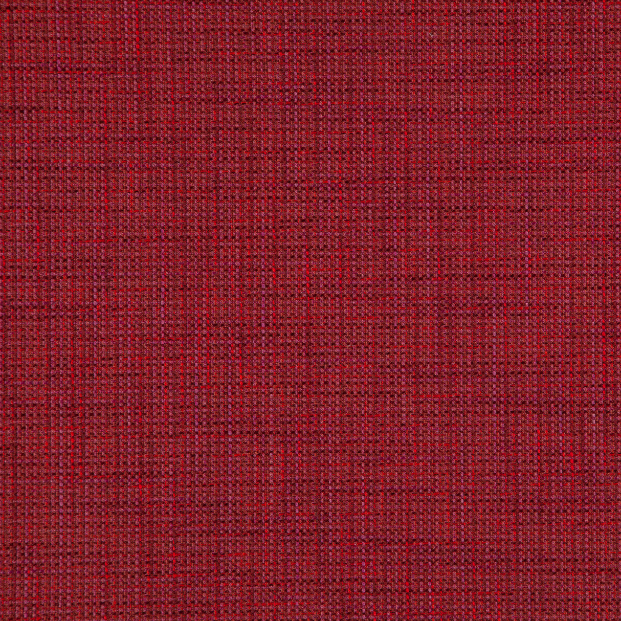 Eade’s # 531 POPPY