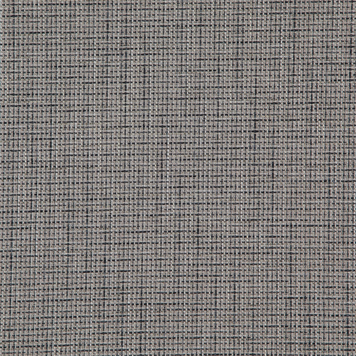 Eade’s # 547 CHINCHILLA