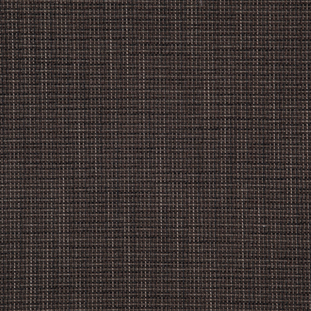 Eade’s # 549 COCOA