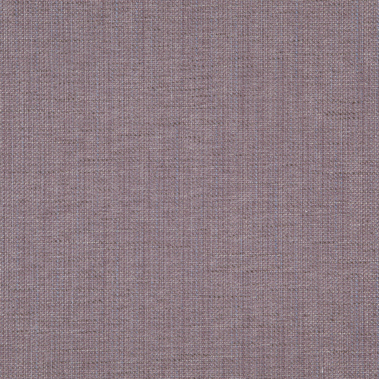 Eade’s # 564 MULBERRY