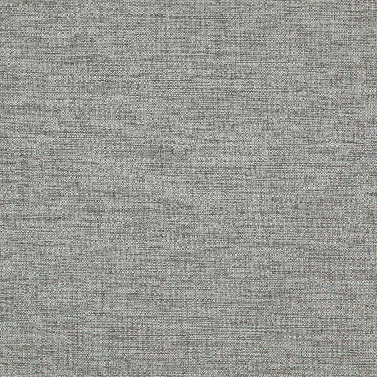 Eade’s # 504 MOUSE