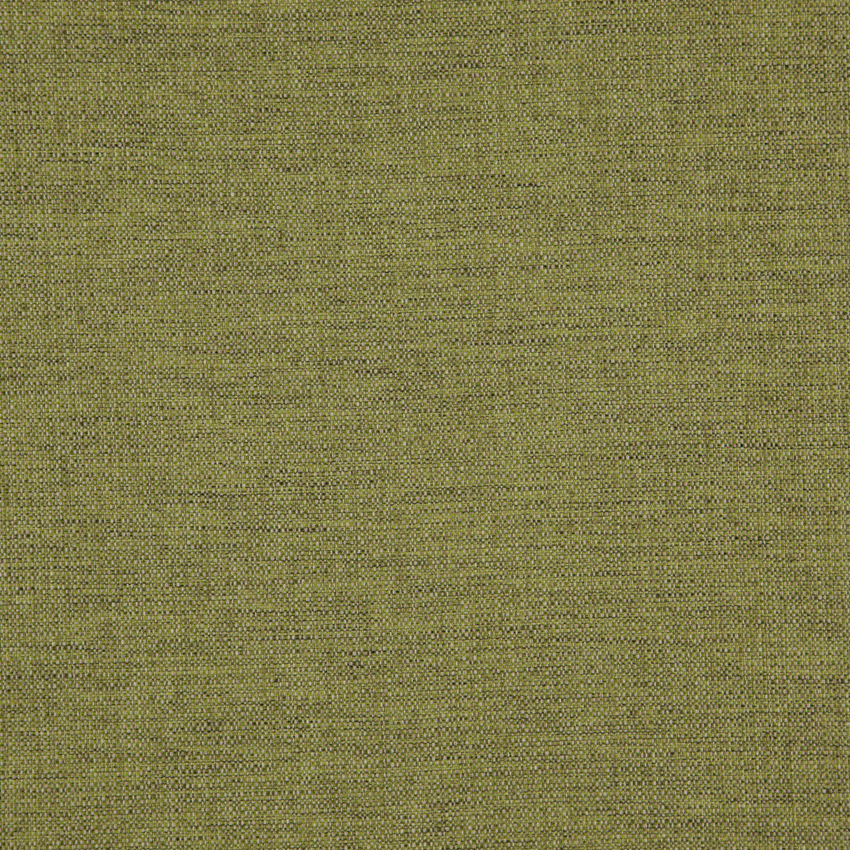 Eade’s # 520 CHAMELEON