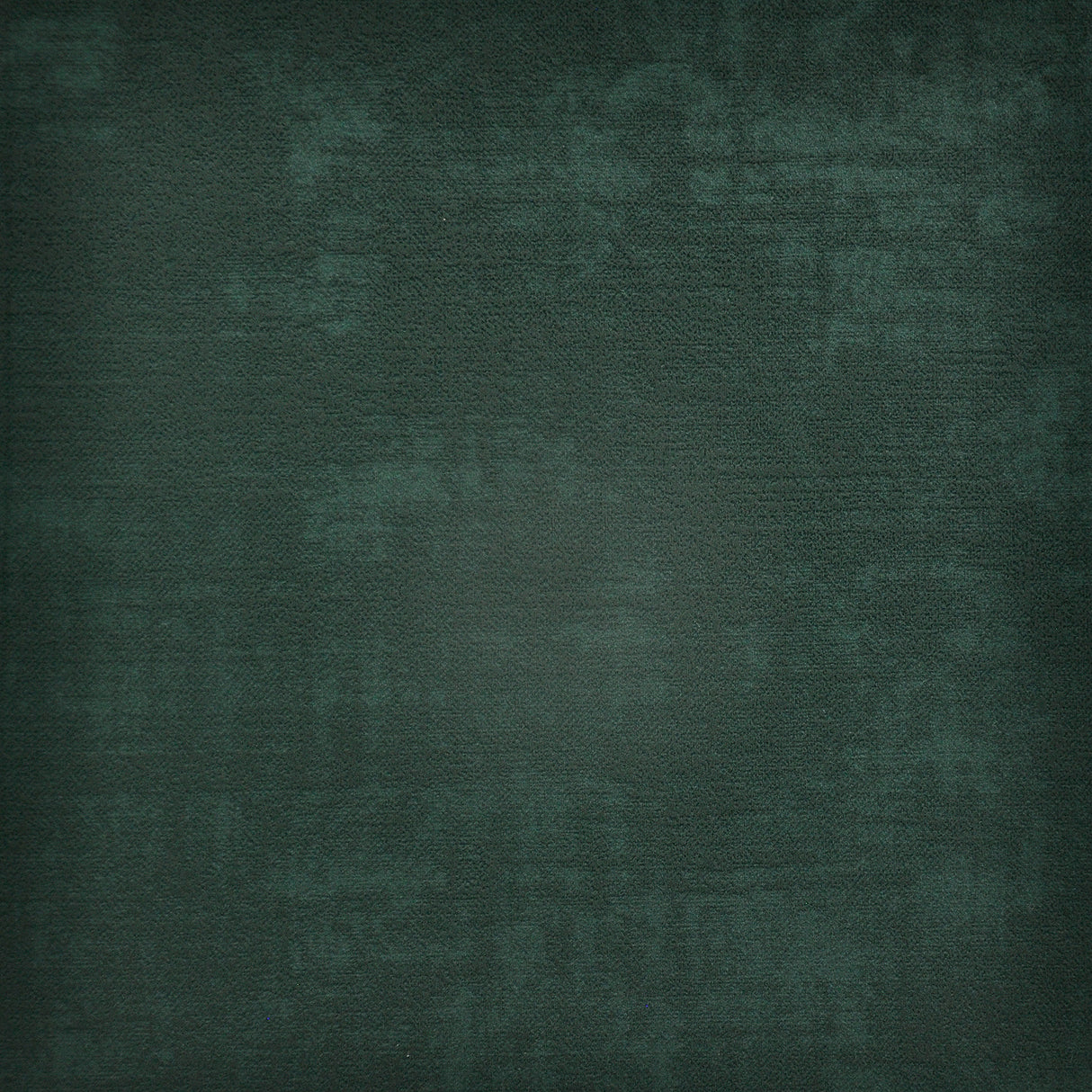 Eade’s # 733 CYPRESS