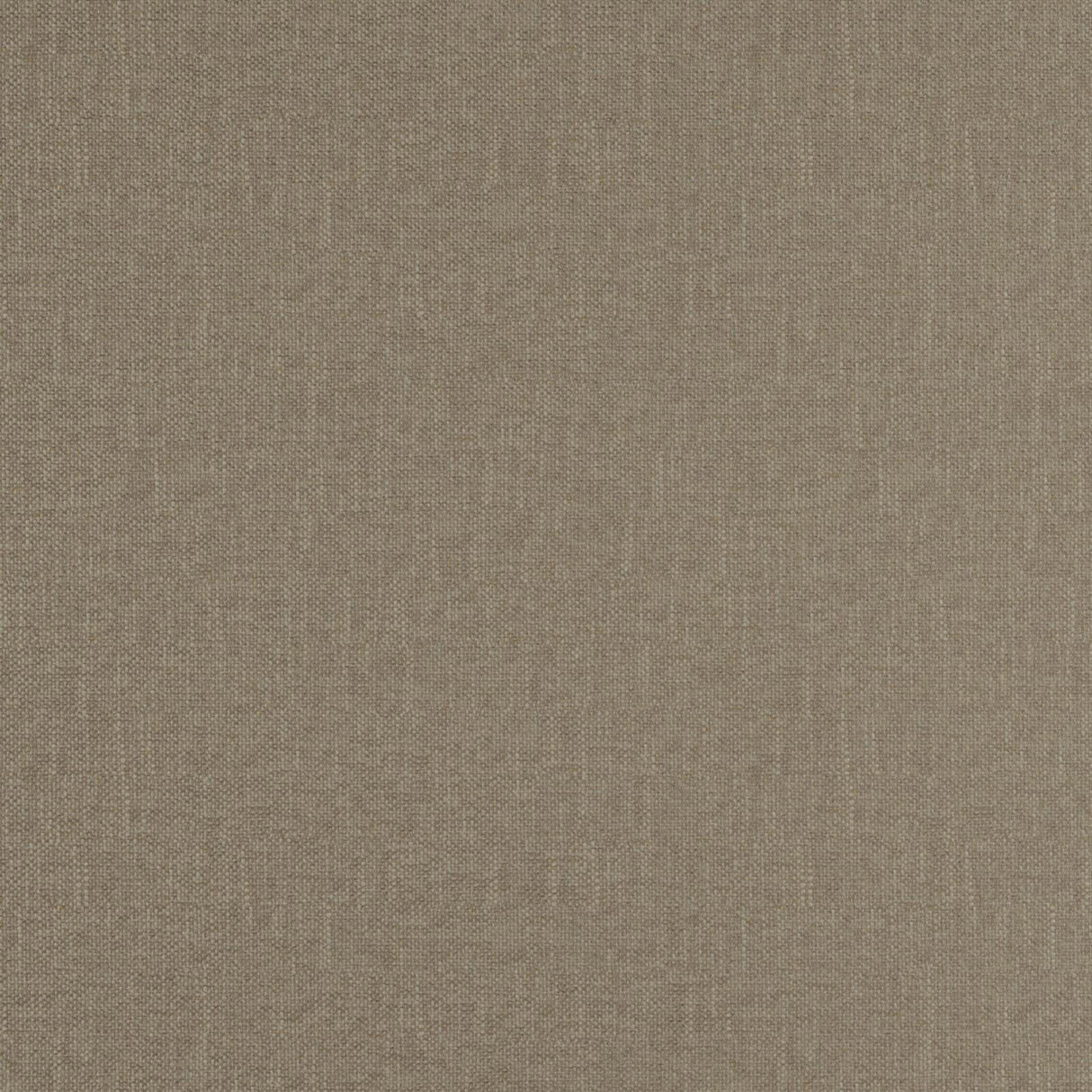 Eade’s # 20 FOSSIL