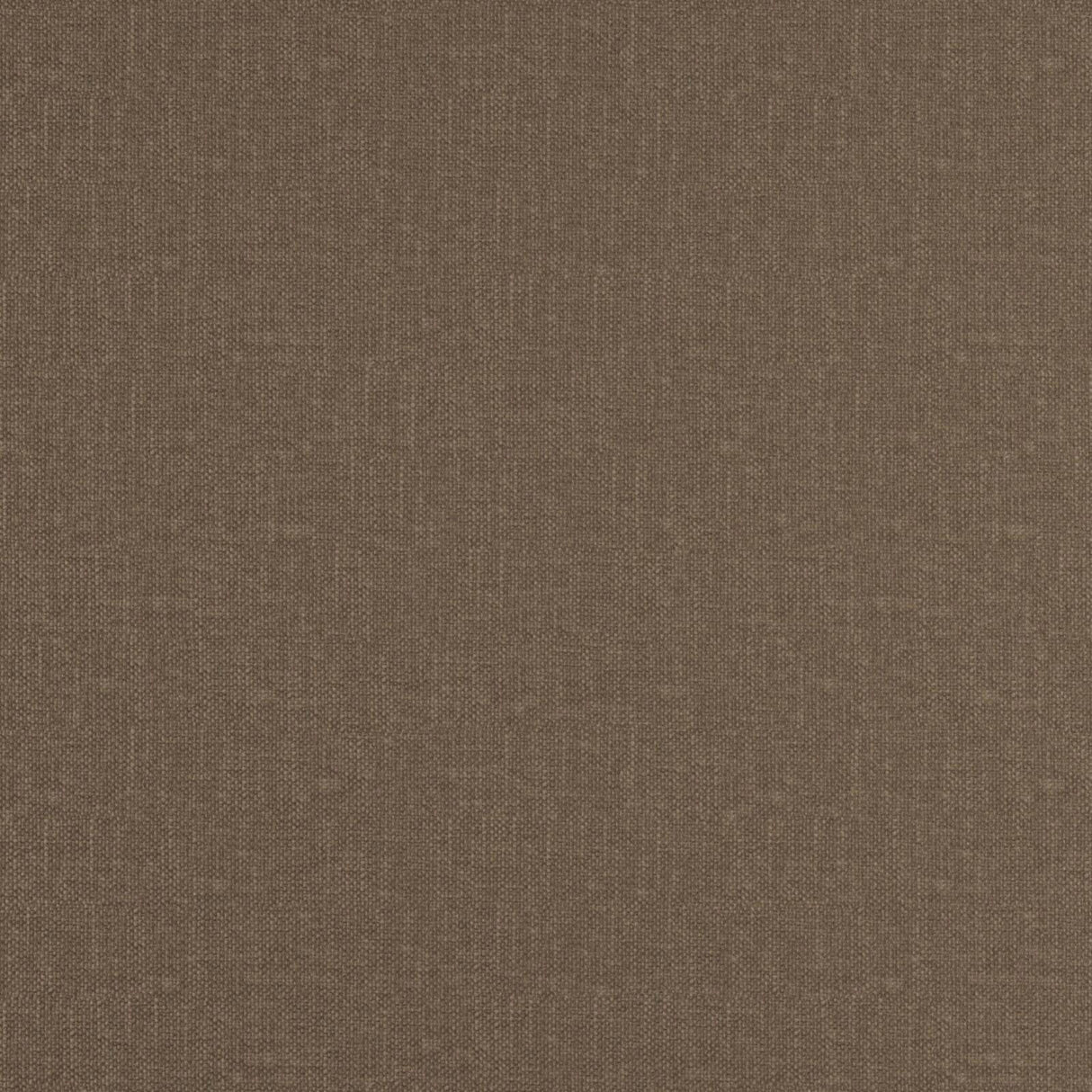 Eade’s # 22 TRUFFLE