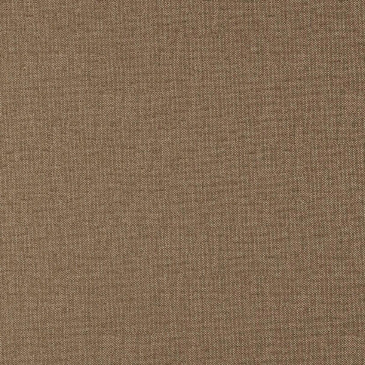 Eade’s # 24 MUSHROOM