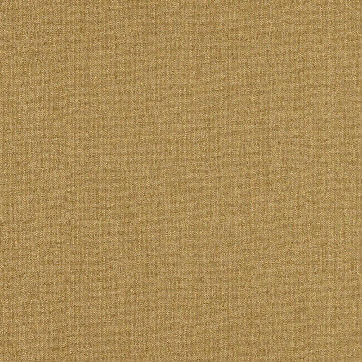 Eade’s # 29 NUGGET