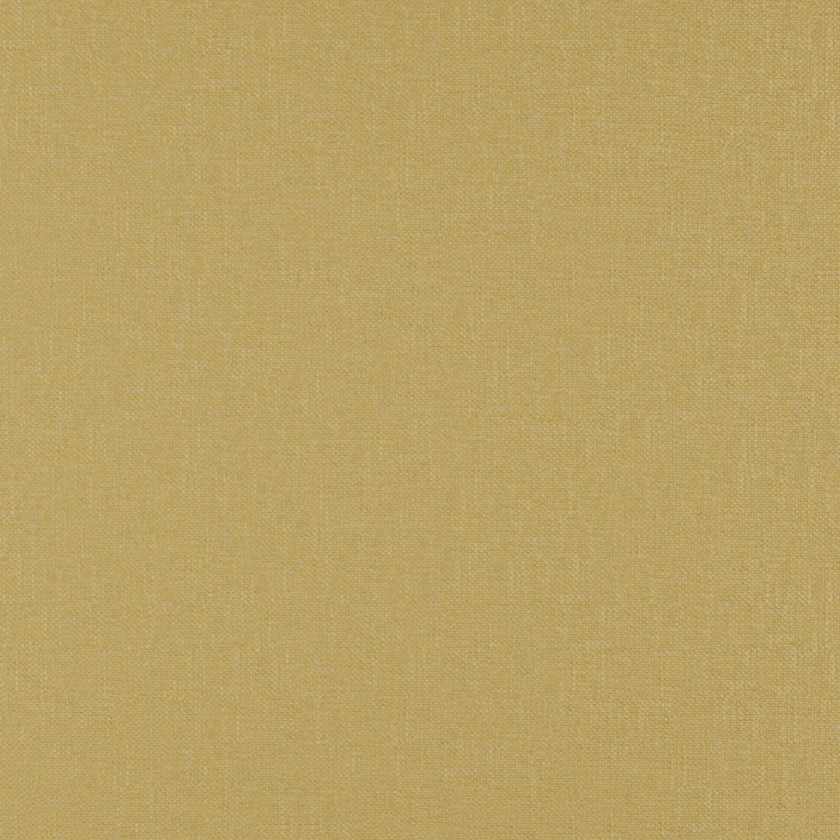 Eade’s # 30 SUNFLOWER