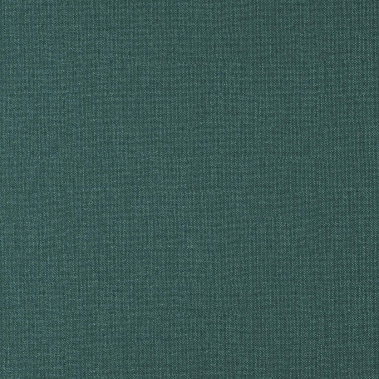 Eade’s # 51 SPRUCE