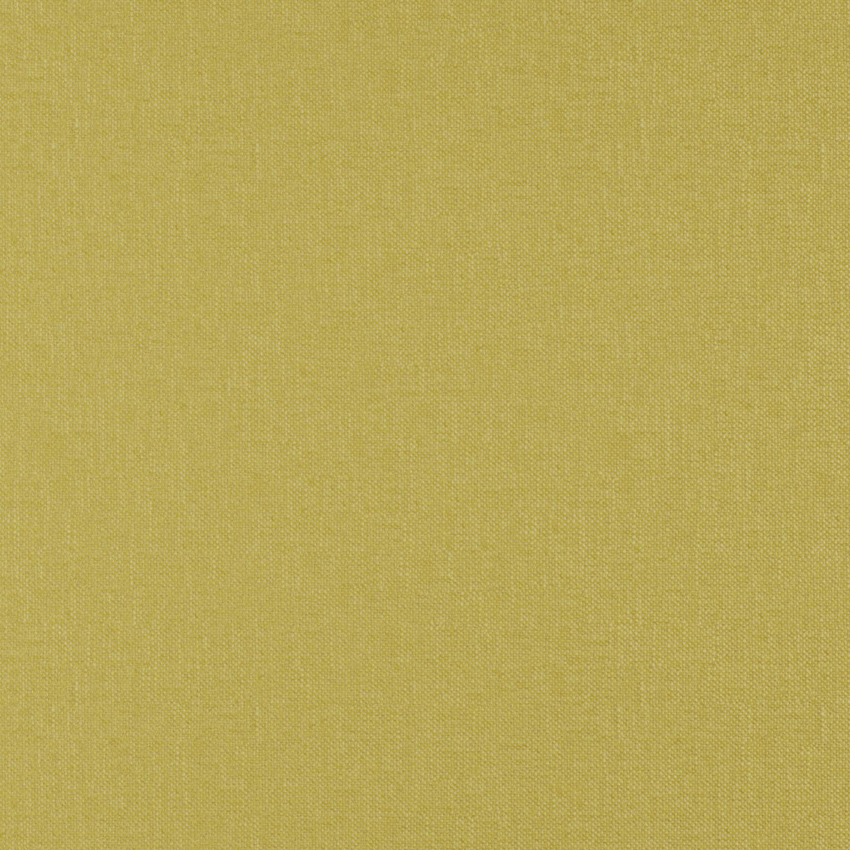 Eade’s # 60 MUSTARD