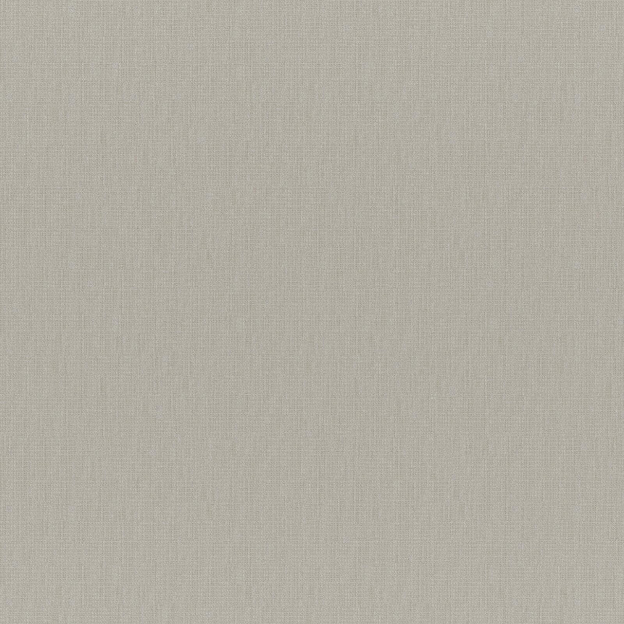 Eade’s # 219 SIAMESE