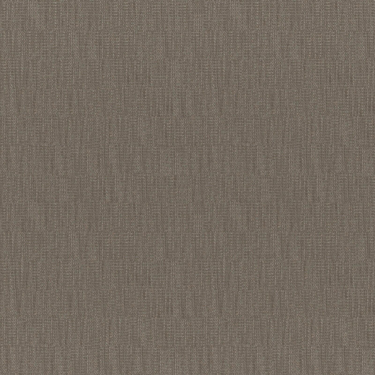 Eade’s # 251 BISON