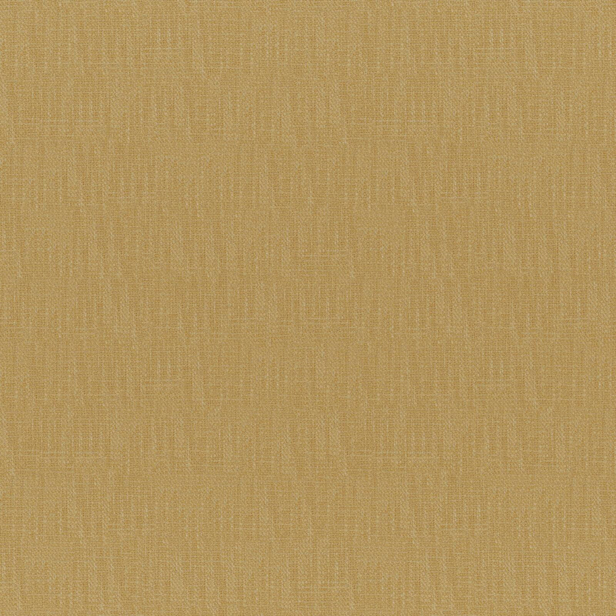 Eade’s # 535 WHEAT