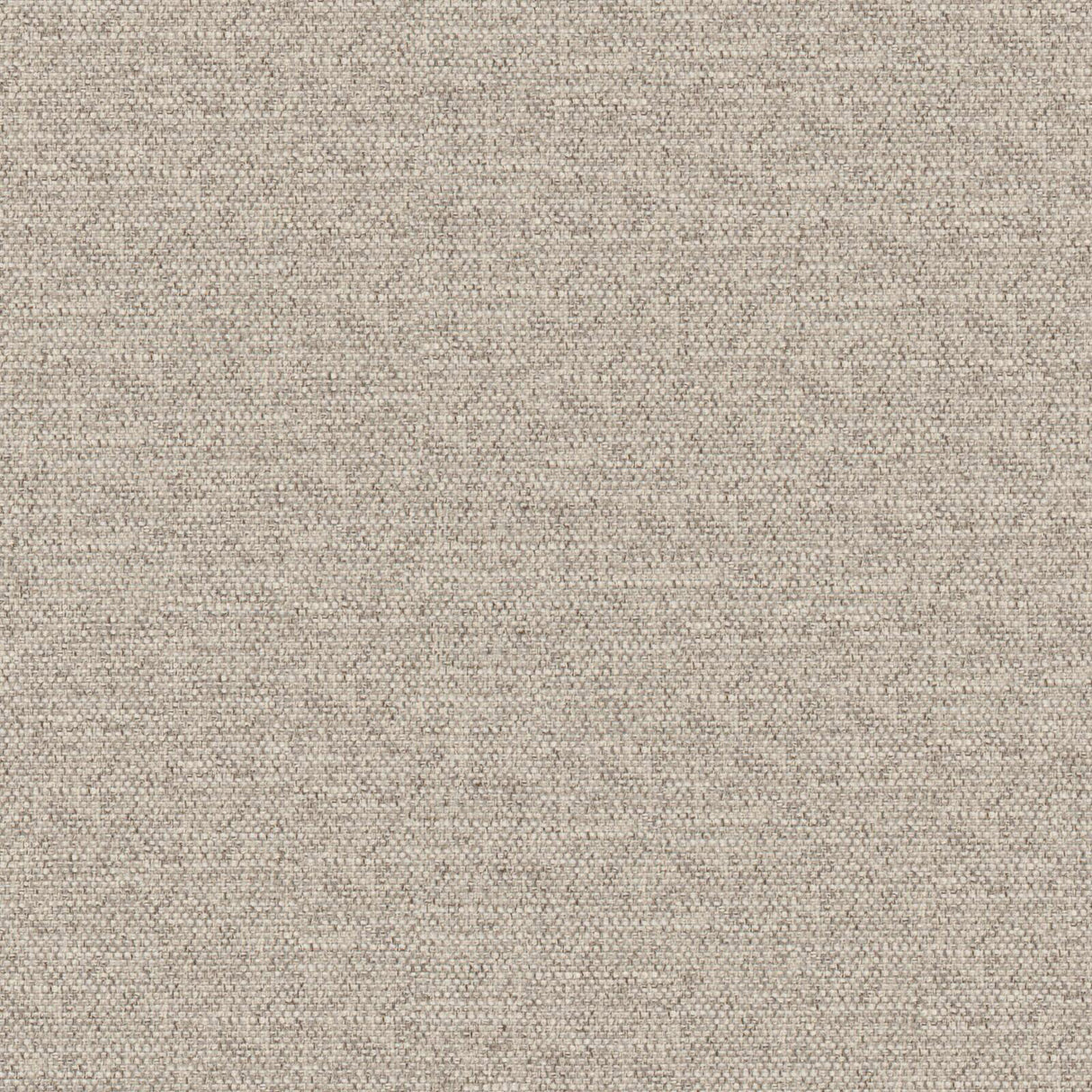 Eade’s # 925 SPONGE