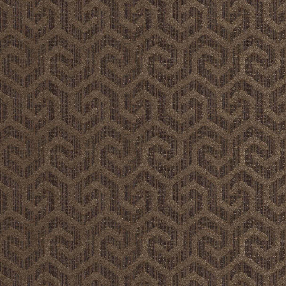 Eade’s # 360 PINECONE