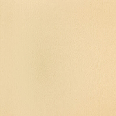 KRAVET DESIGN CHROME.1.0 KRAVET DESIGN CHROME-1 Fabric - FAUX LEATHER IV