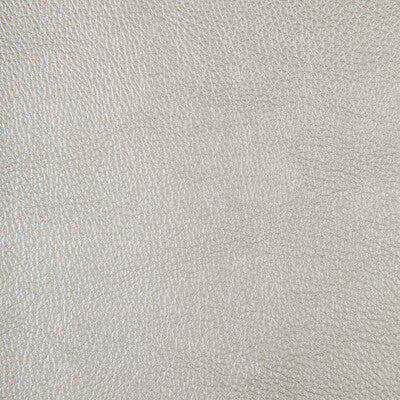 KRAVET DESIGN CHROME.11.0 KRAVET DESIGN CHROME-11 Fabric - FAUX LEATHER IV