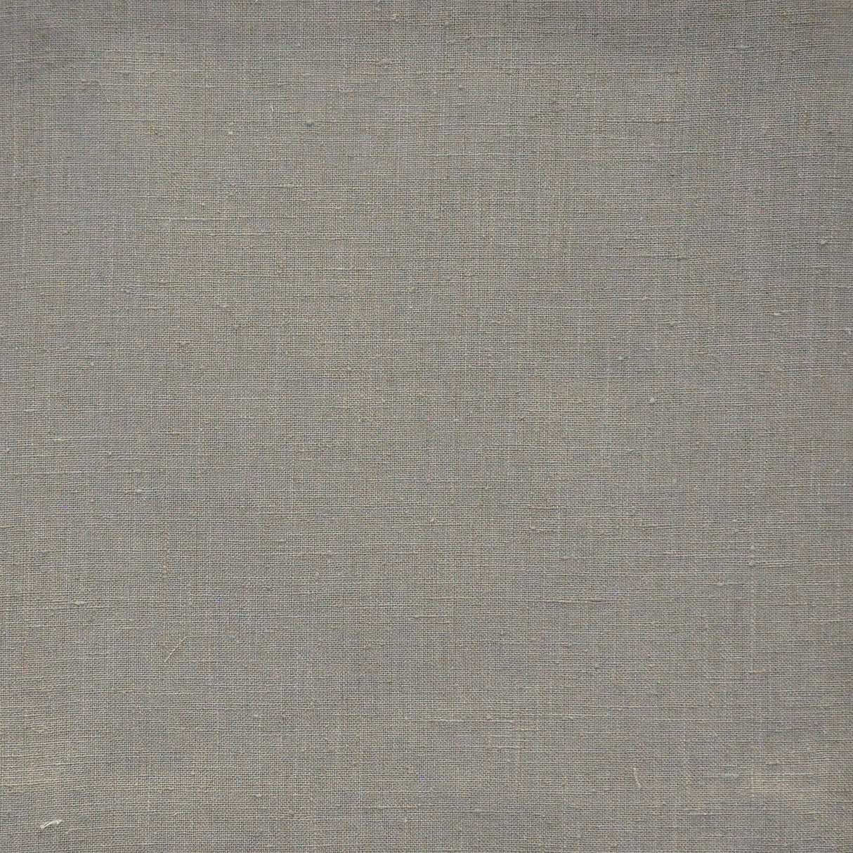 Eade’s # 639 MOUSE