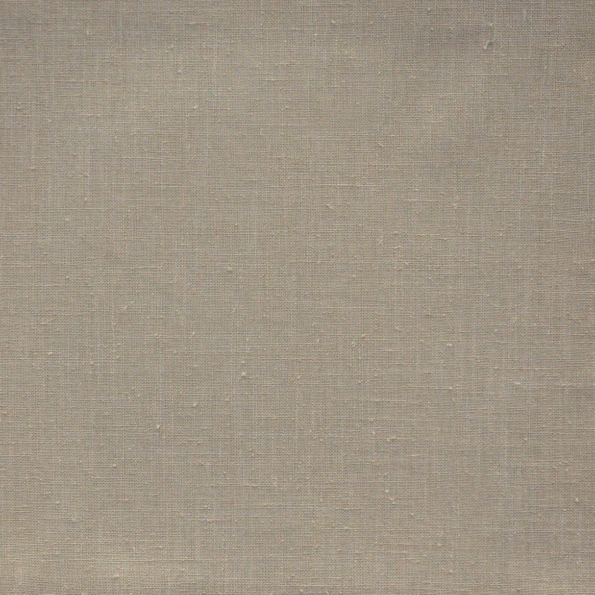 Eade’s # 643 CASHEW