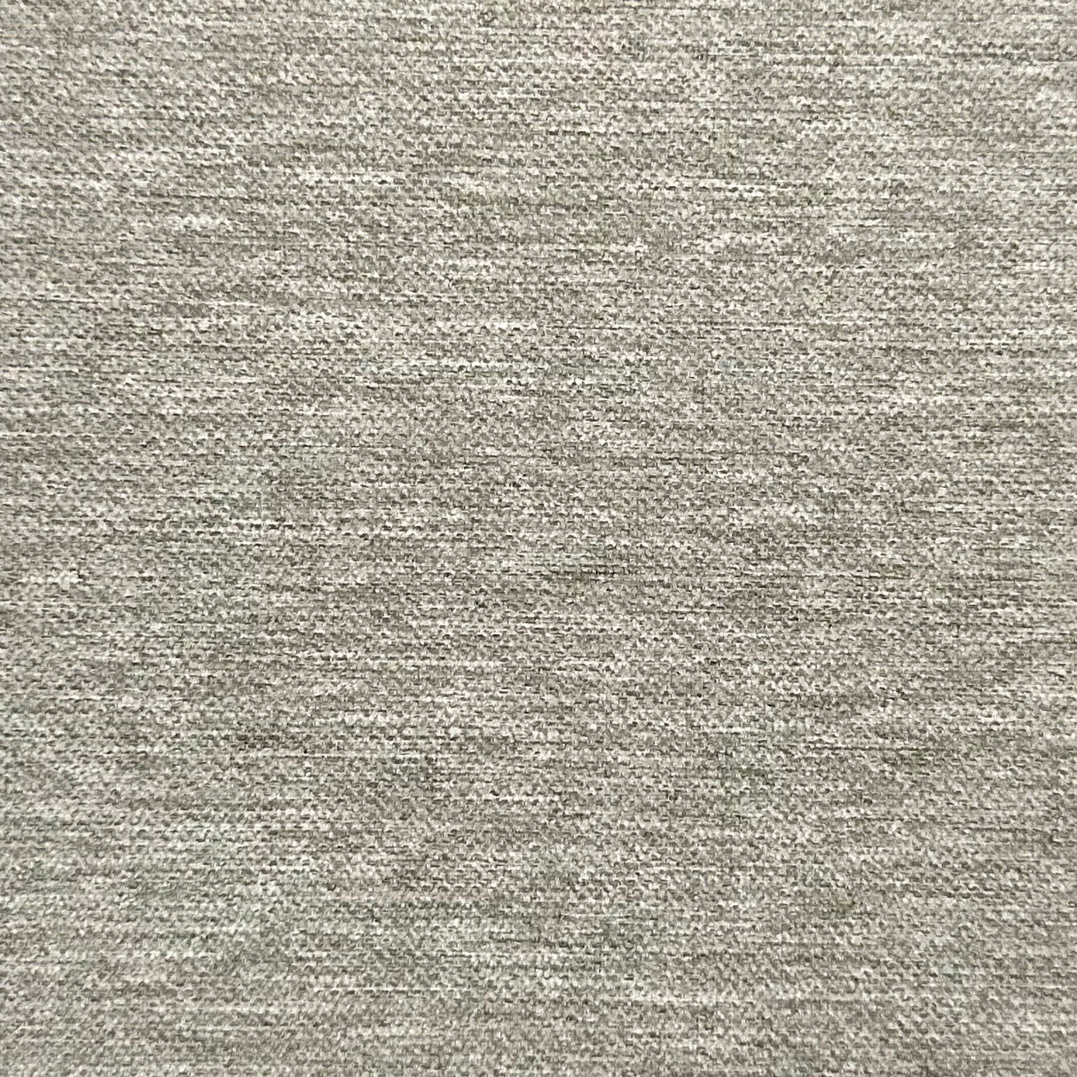 Eade’s # 245 PIGEON