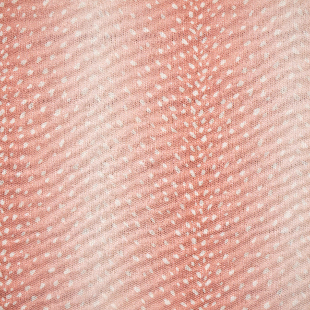 Eade’s # 737 AZALEA