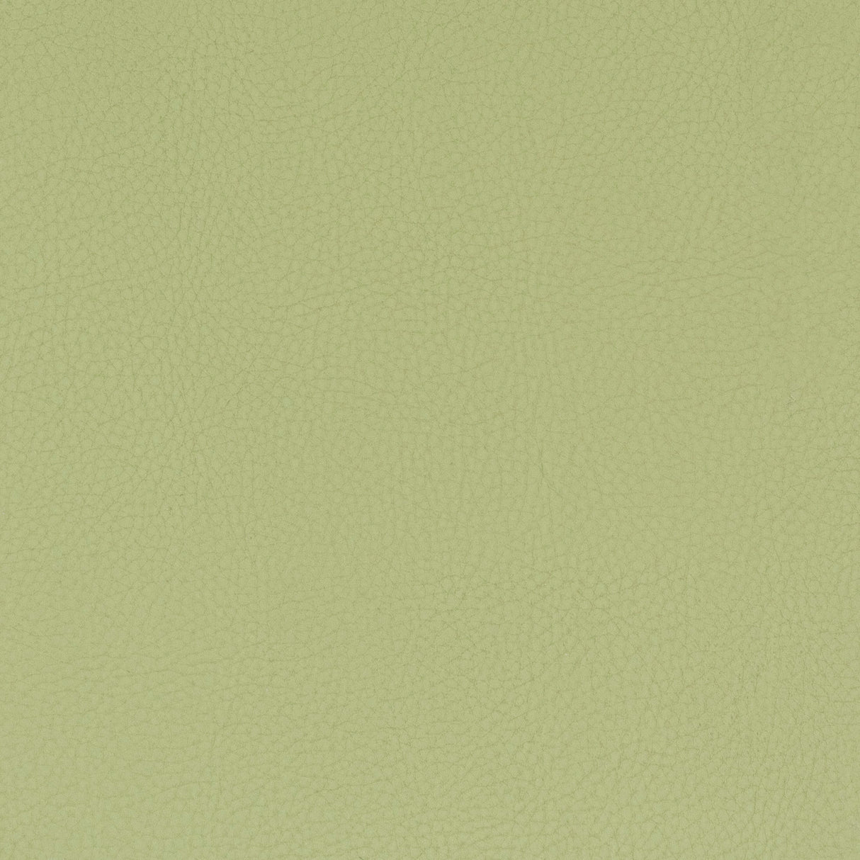 Eade's CLAS-8-sample PISTACHIO