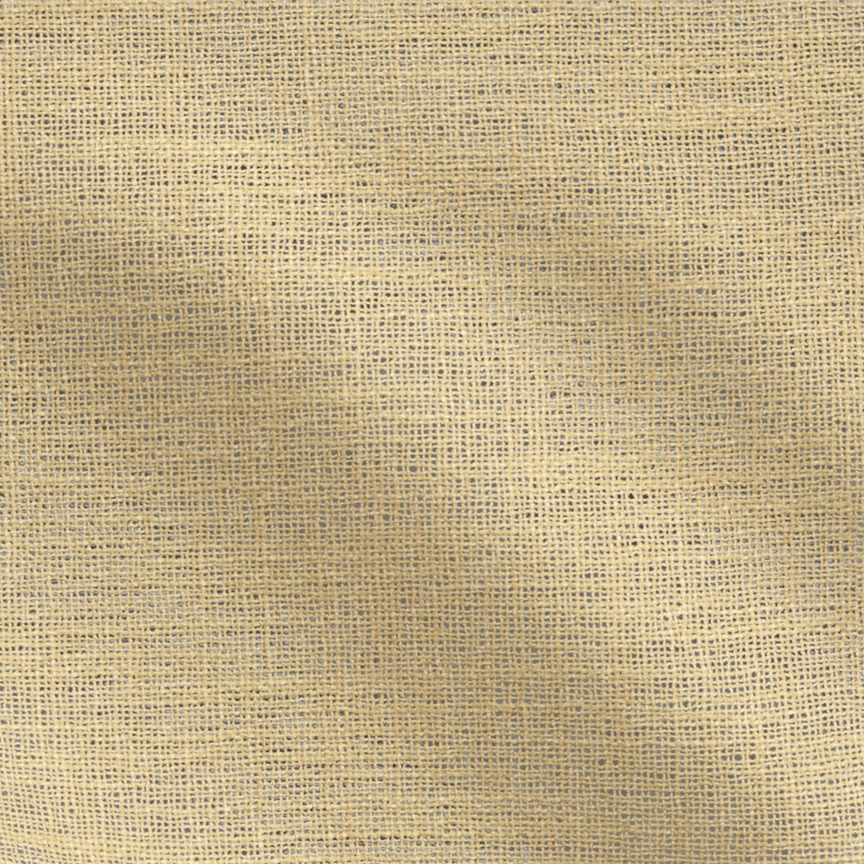 17-J9731 CLEO Fabric