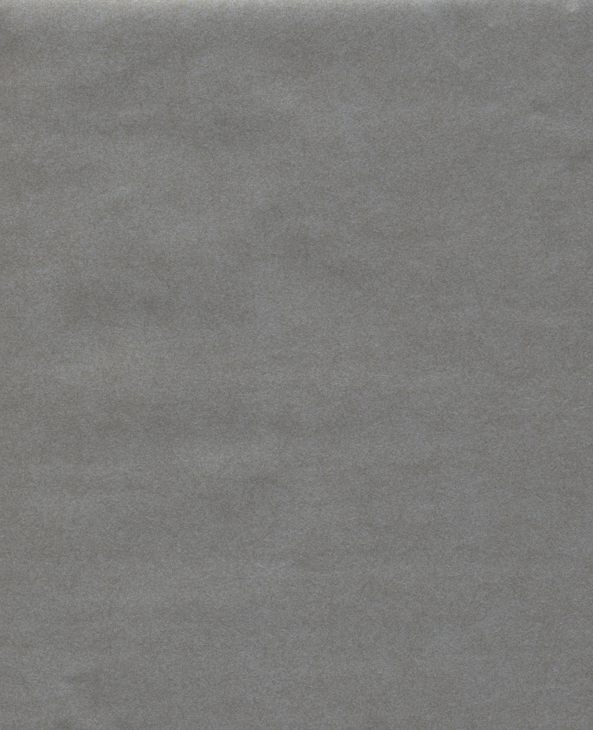 York CN2196 Oasis Dark Grey Wallpaper
