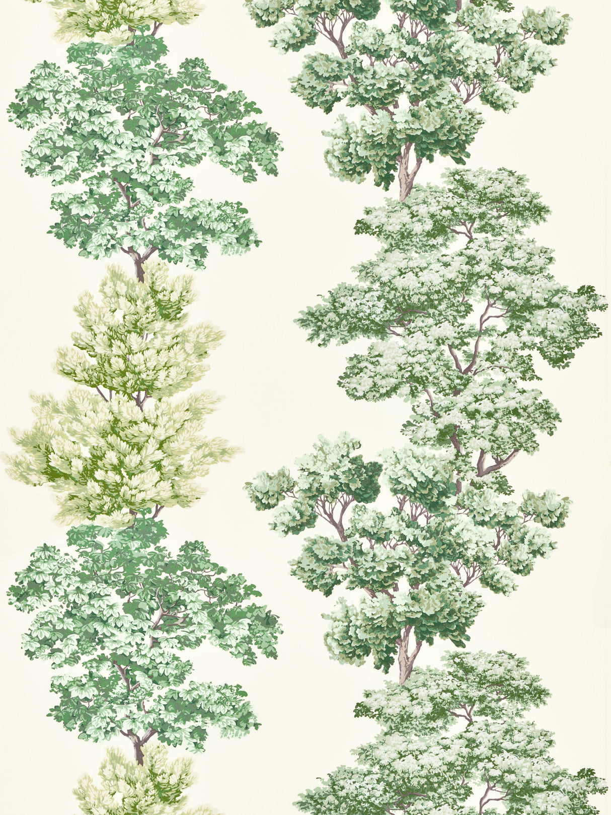 Scalamandre CN 00010071 GREEN CENTRAL PARK Fabric - Eade's Wallpaper