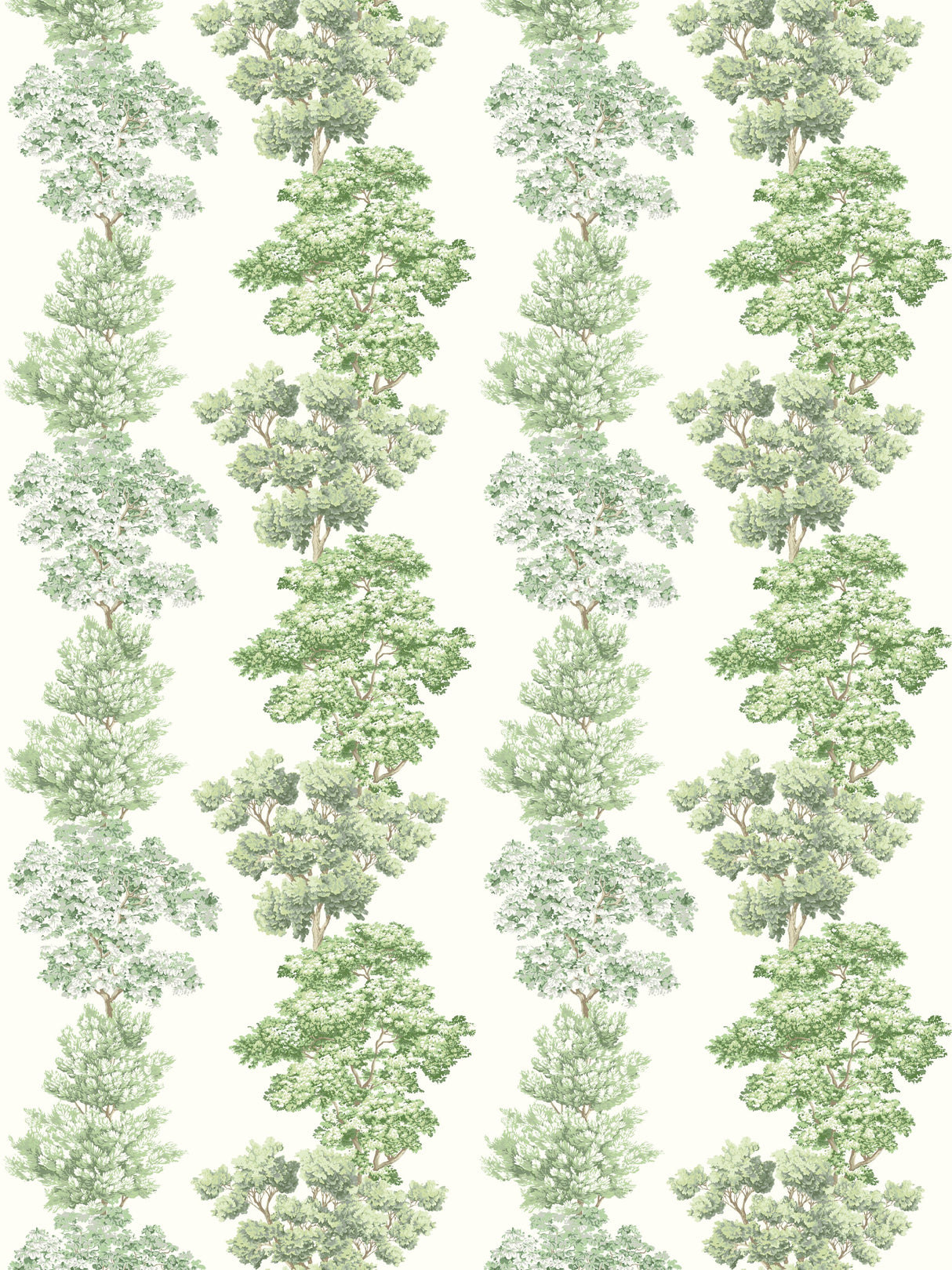 Scalamandre CN 00010071 GREEN CENTRAL PARK Fabric - Eade's Wallpaper