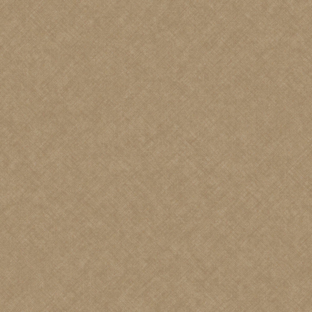 Galerie Concept Graphic Concrete Brown Wallpaper CO1105