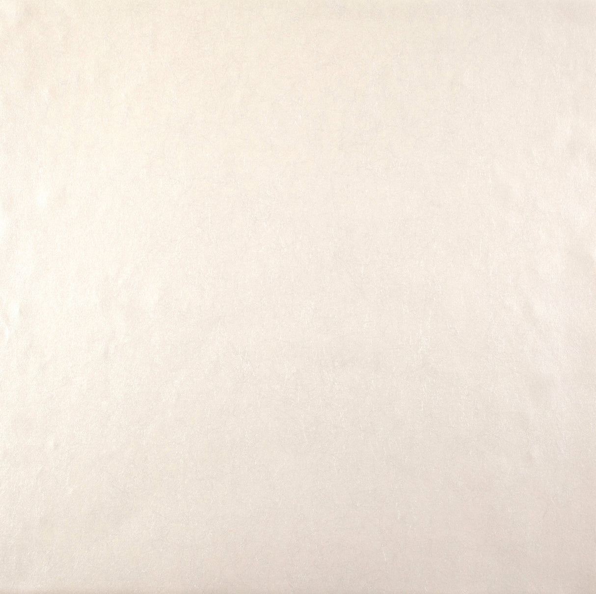 York CO2084 Oasis Beige Wallpaper