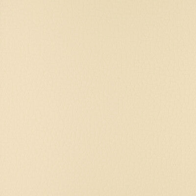 KRAVET DESIGN CONNECT.1.0 KRAVET DESIGN CONNECT-1 Fabric - FAUX LEATHER IV