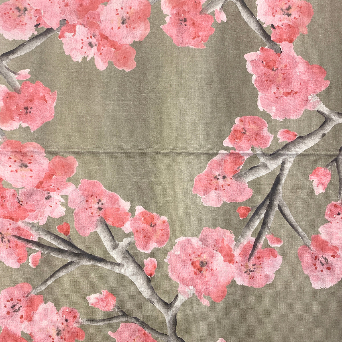 Eade’s CO - KWANZAN CHERRY CHERRY