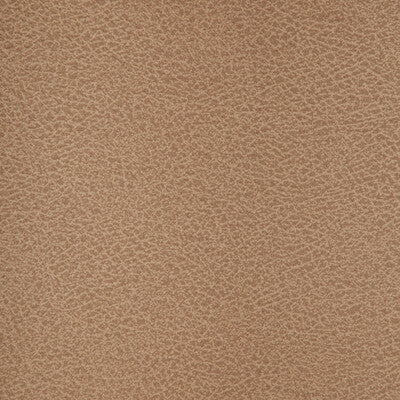 KRAVET DESIGN CRISP.106.0 KRAVET DESIGN CRISP-106 Fabric - FAUX LEATHER IV