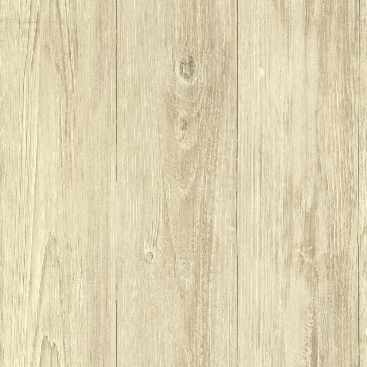 Chesapeake CTR64226 Mapleton Birch Faux Wood Texture Wallpaper