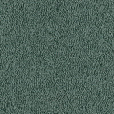 KRAVET DESIGN CURED.35.0 KRAVET DESIGN CURED-35 Fabric - FAUX LEATHER IV